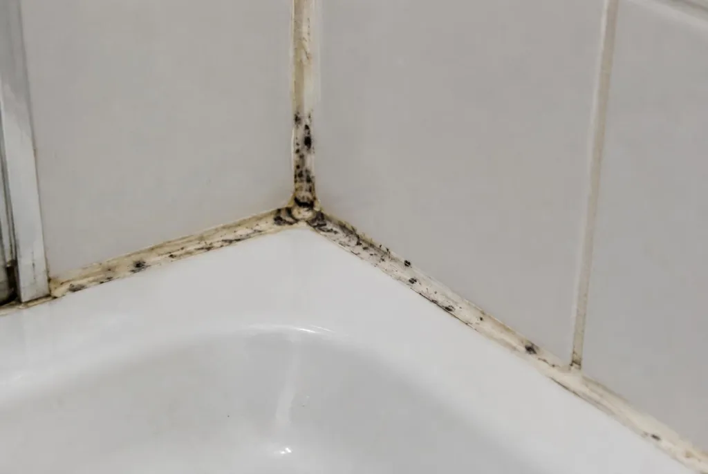 Kitbedrijf Krommenie – beschimmelde kitranden